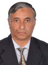 team-member
